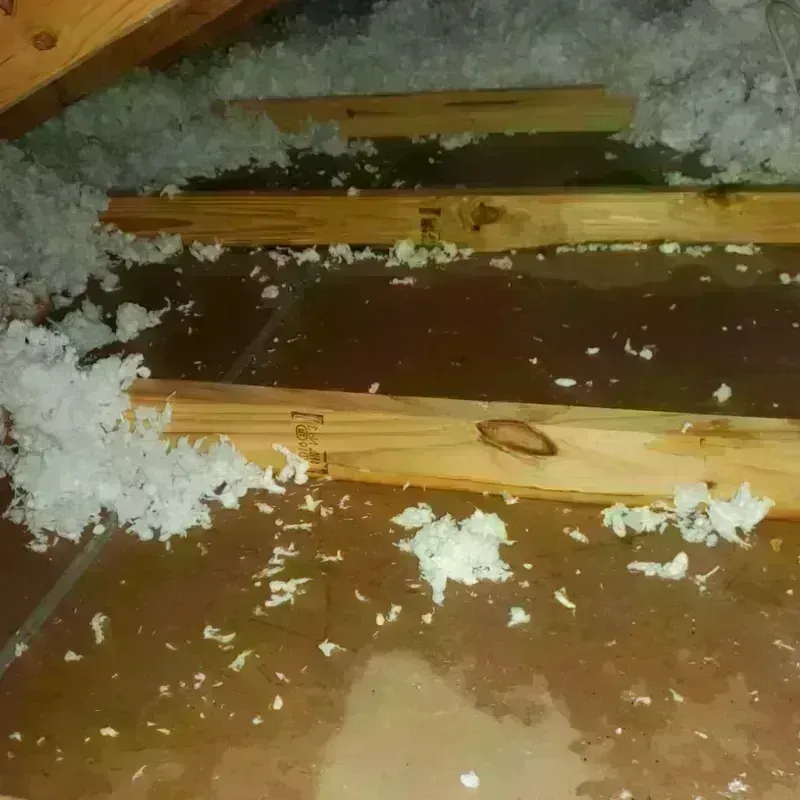 Attic Water Damage in Jacinto City, TX